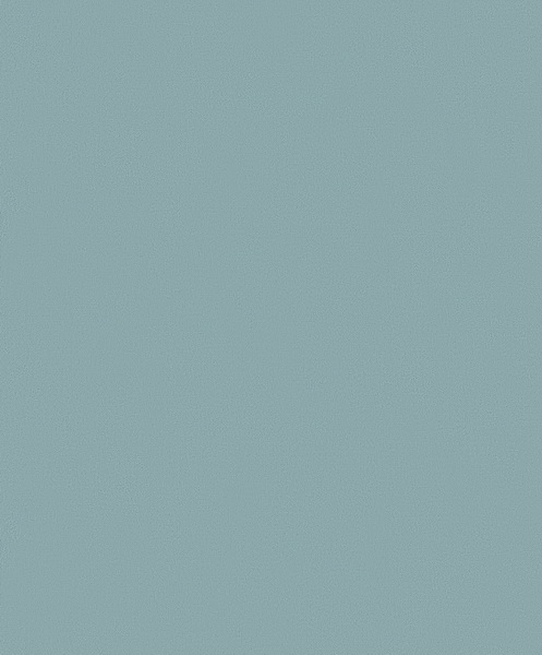 ws82161