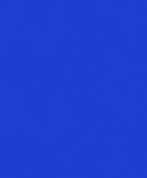 ws82163