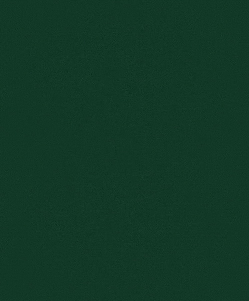 ws82164